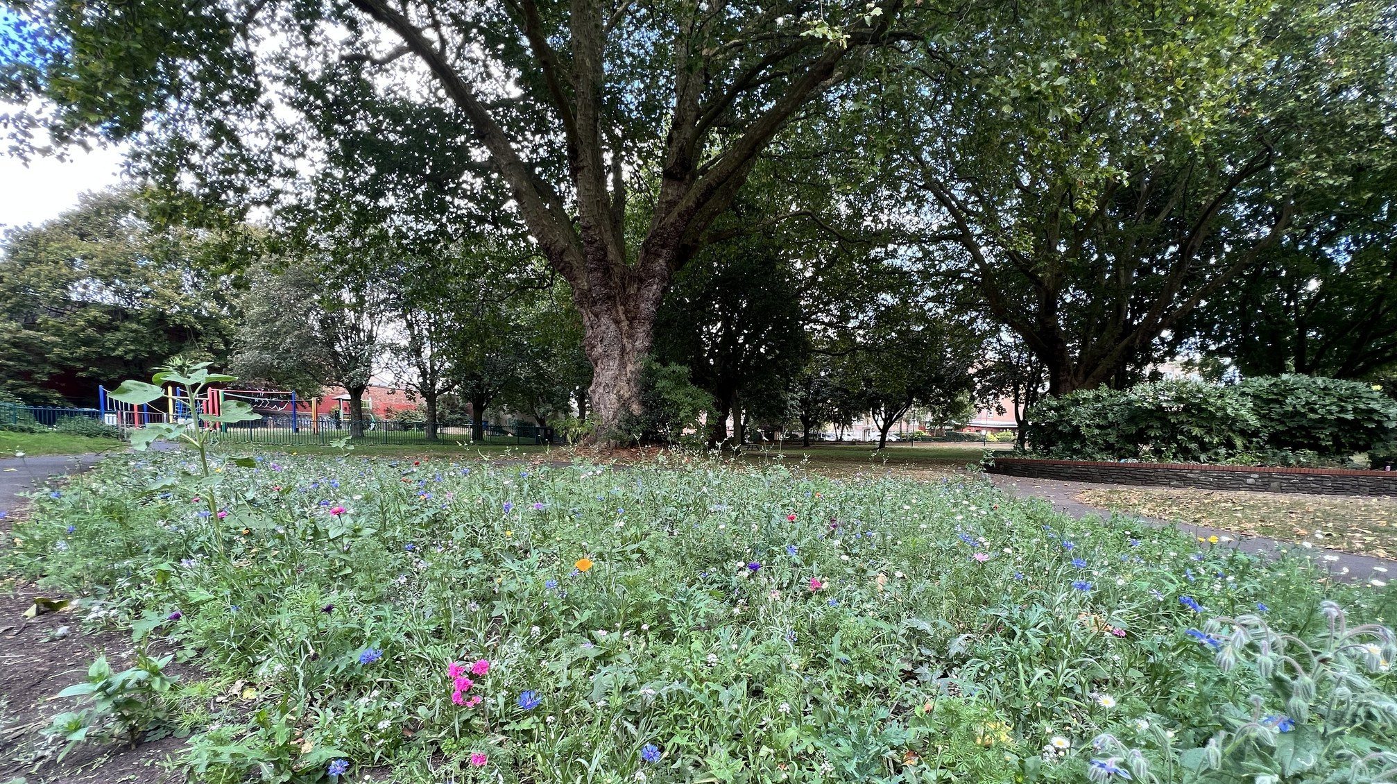 Gaunts Ham Park Residents’ Meeting