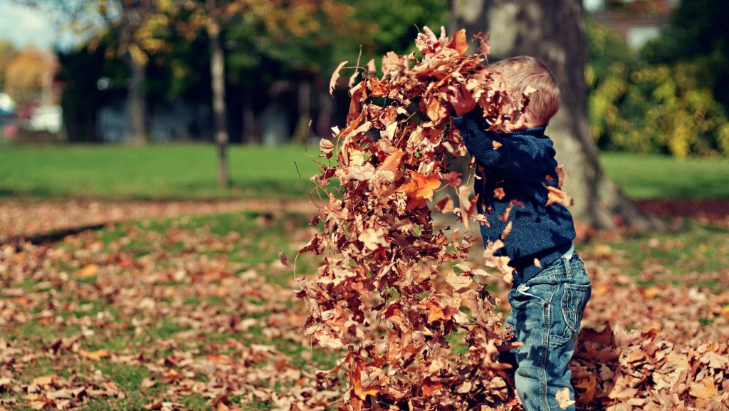 pexels-scottwebb-36965