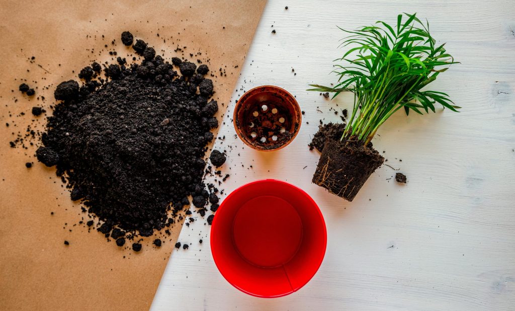 pexels-hasan-kurt-154798938-11165851