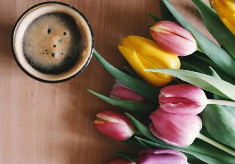 pexels-brigitte-tohm-36757-131043